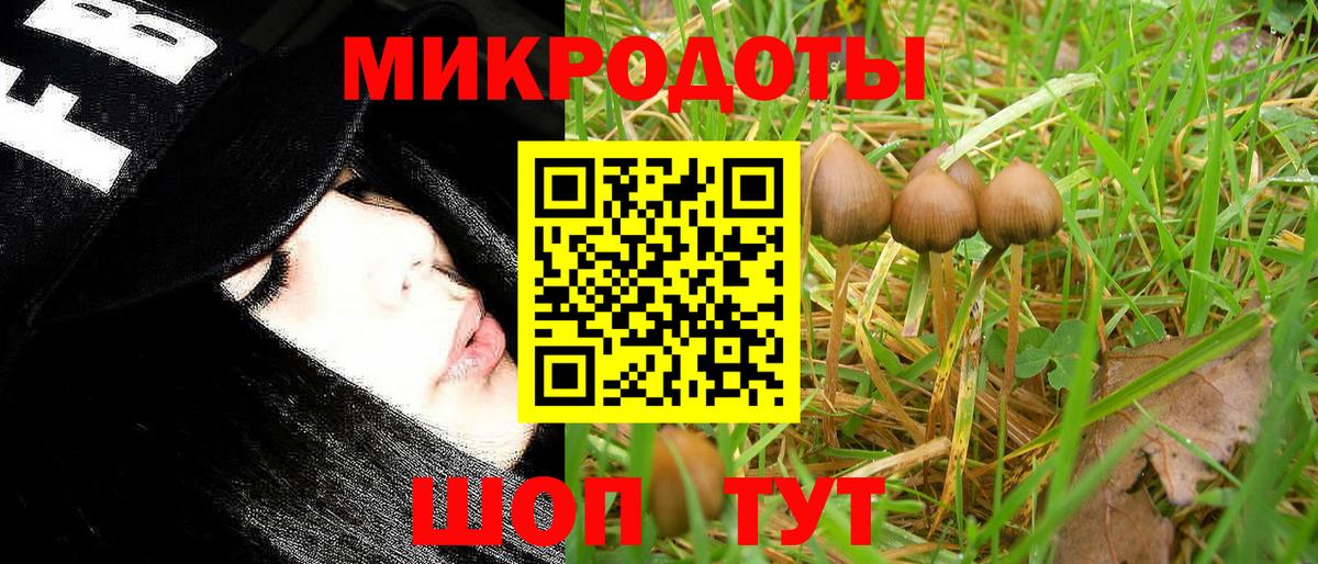 Зерноград  Псилоцибиновые грибы GOLDEN TEACHER  Вход с VPN 
